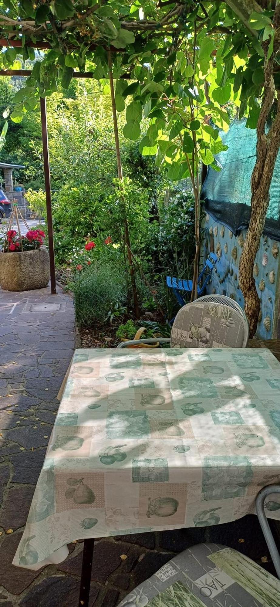 Apartma Marinka Piran Exteriör bild