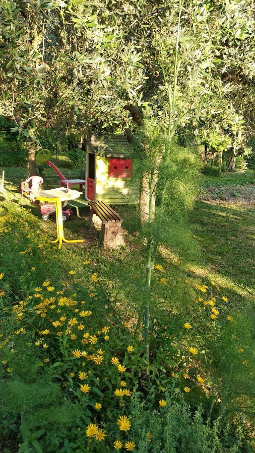 Apartma Marinka Piran Exteriör bild