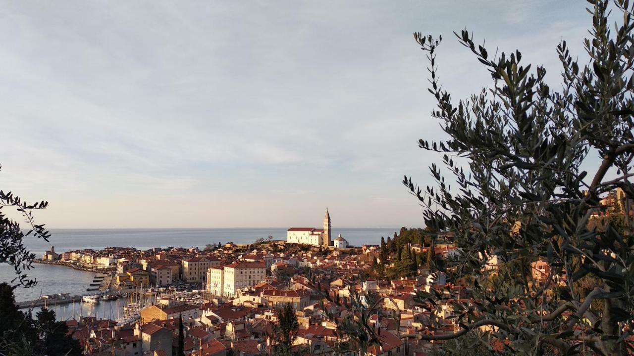 Apartma Marinka Piran Exteriör bild